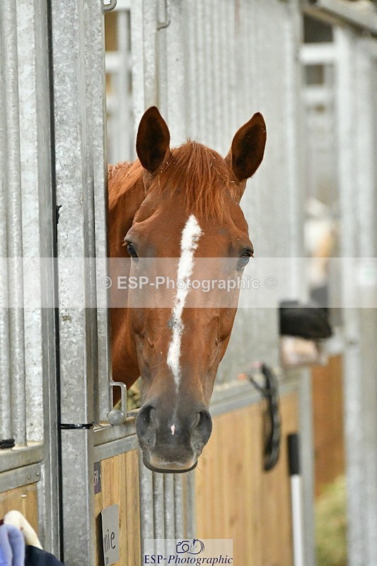 230803A-160423-00792 - Danielle's Ride