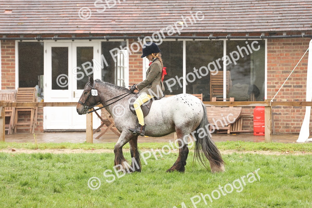 SBM_72837 - S70 - Traditional Cob Ridden