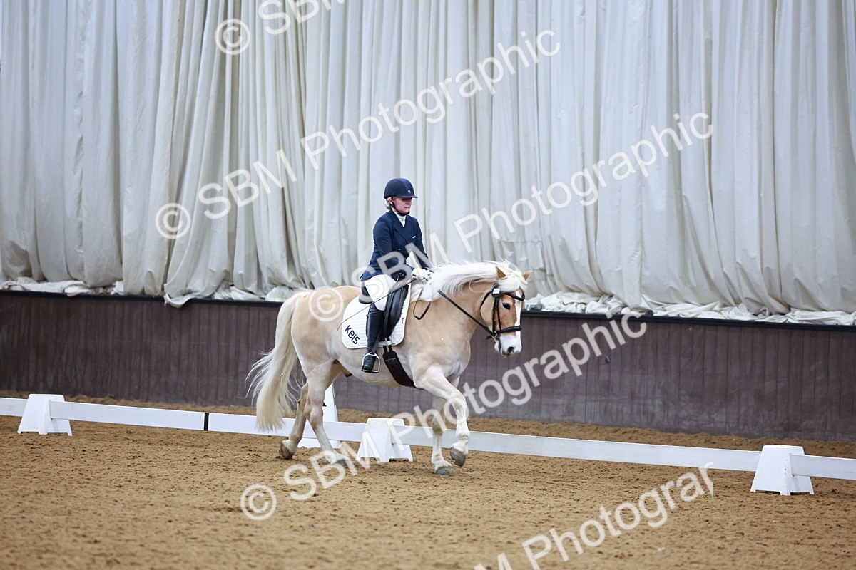 SBM_002881 - Novice Music