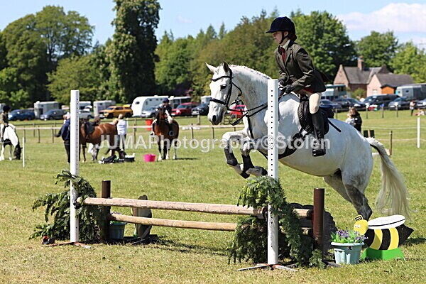 IMG_3526 - Working Hunter