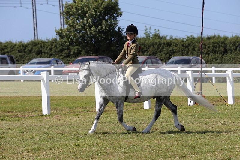 1X9A5377 - Class 37: NPS M&M First Ridden