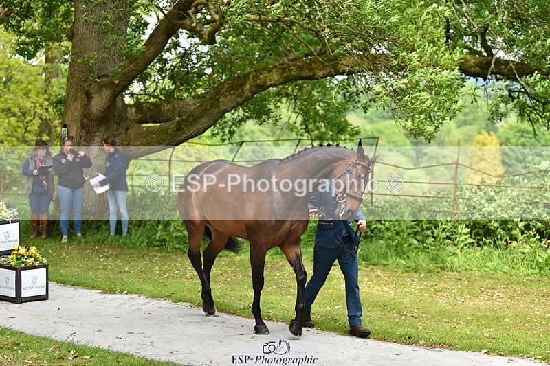 240522-150358-00068 - 303-KILLEENHOUSESTUD_OBOS_16-Tom_D_Crisp