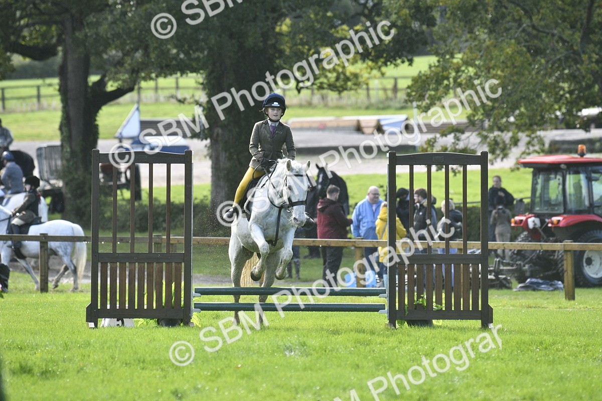 SBM_37204 - S31 - Novice & Newcomer Working Hunter Pony