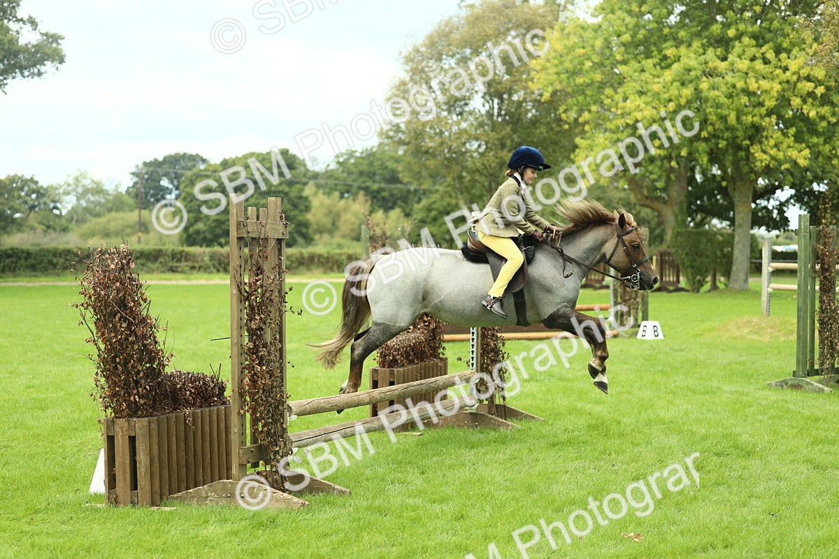 SBM_42778 - S30 - M&M Working hunter Pony