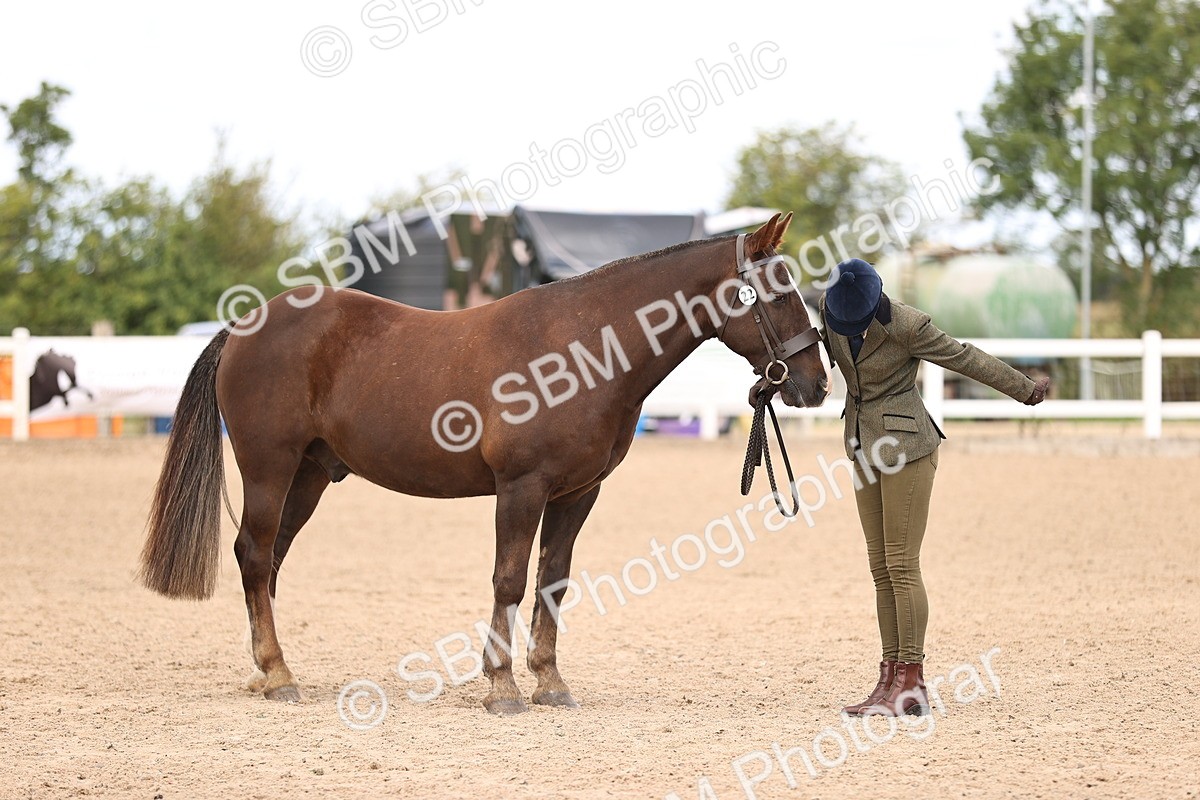 SBM_10388 - Class 405 - IH Show Cob