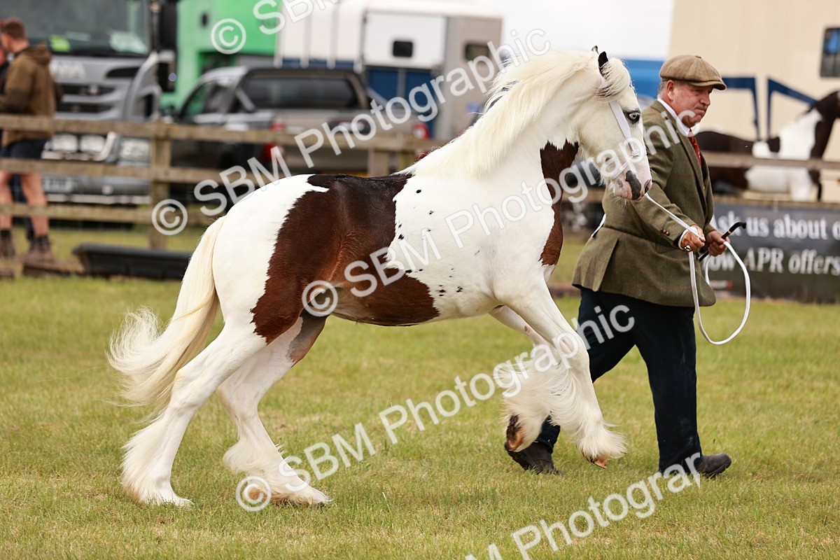 SBM_04573 - Class 5-8 - BSPA In hand