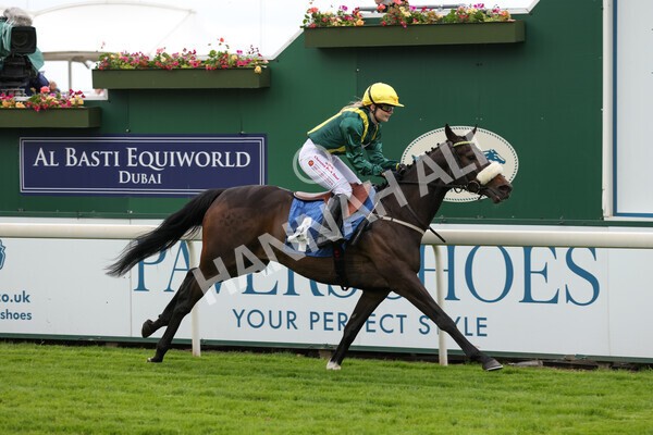 yr11062022r1-156 - Race 1 12.45pm Macmillan Ride of Their Lives, supported by Sky Bet