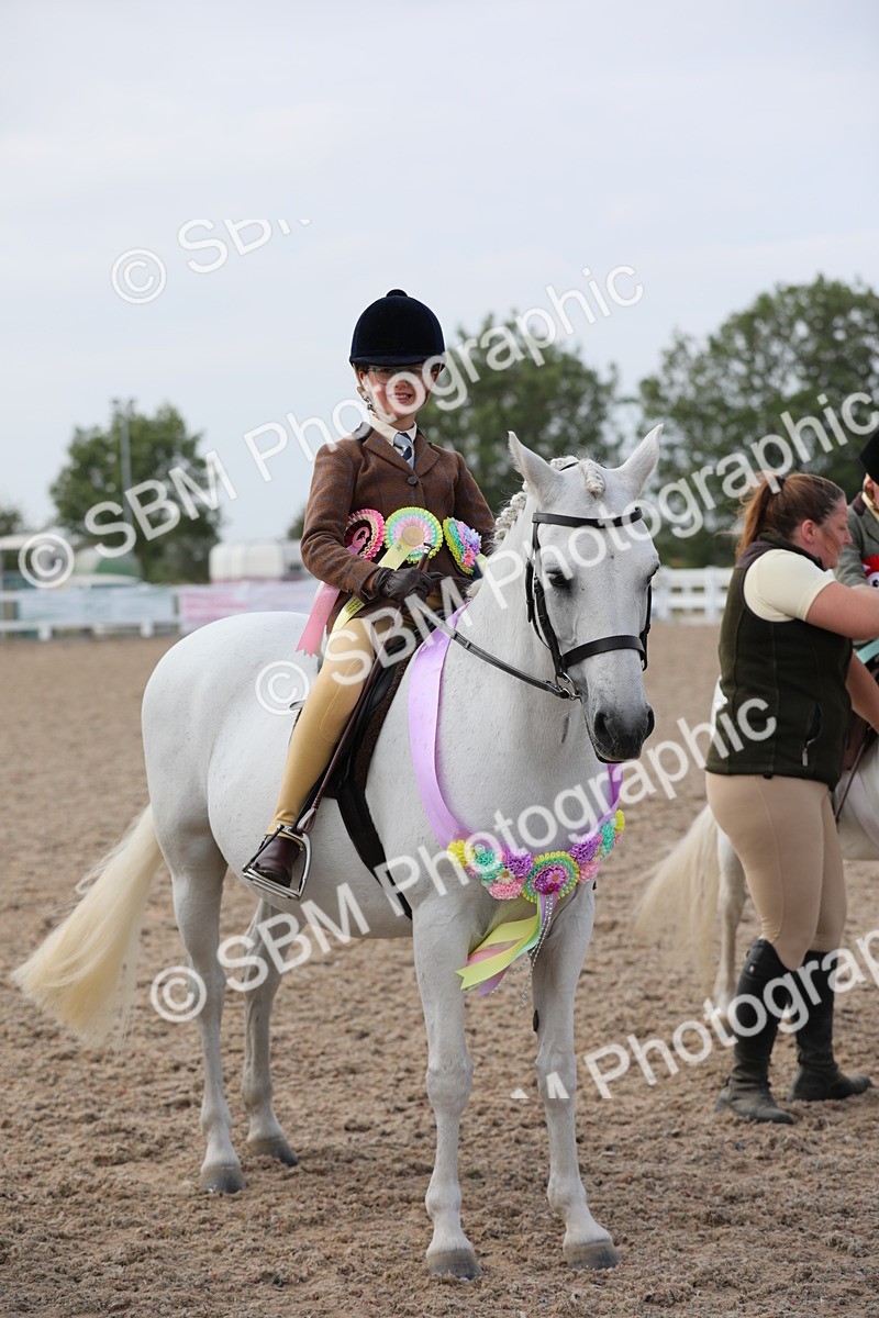 SBM_17058 - Class 314 Family Horse/Pony