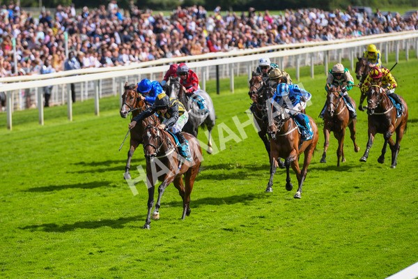 150723-Race 5-Specific Times-0533 - Race 5 4.20pm John Smith's Nursery Handicap