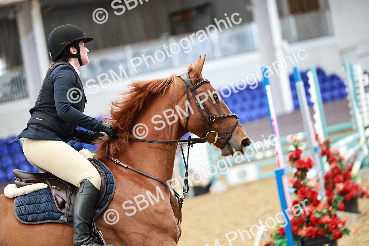 SBM_000123 - Class 1 - Clear Round Show Jumping 80cm