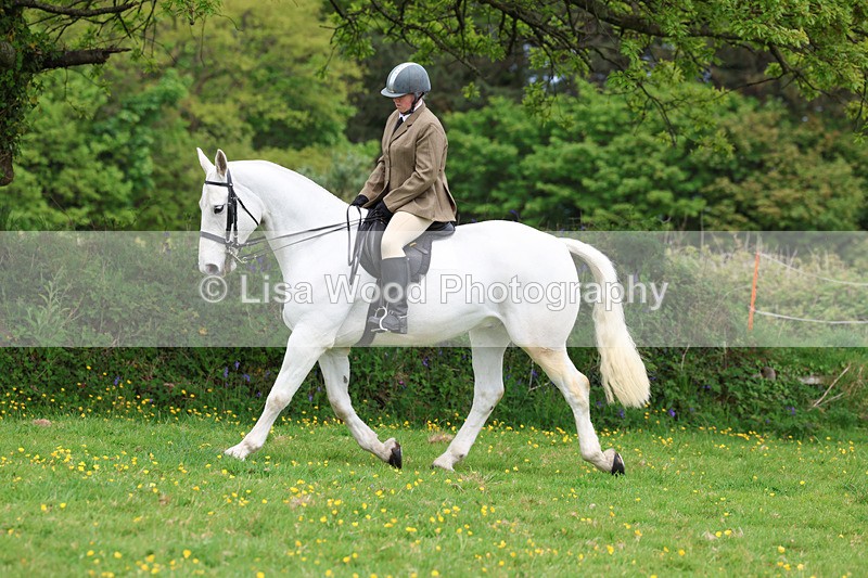 3E7A1219 - Class 7: Ridden Hunter Type