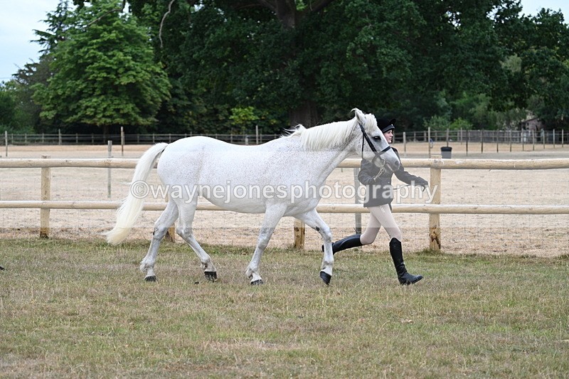 WJ7_8730 - Class 4a Prettiest Mare 14.2hh and over