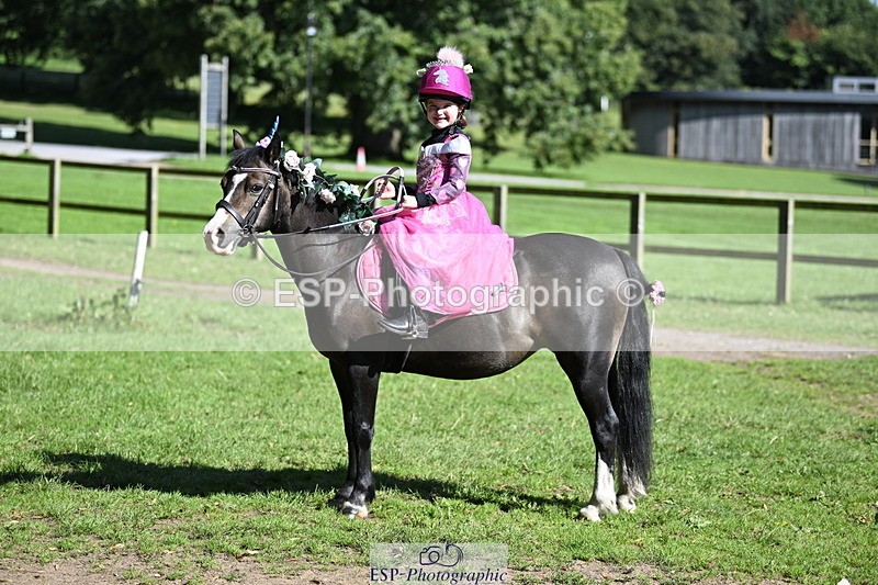 240728B-094435-00104 - Sunday Stable Shots and Fancy Dress
