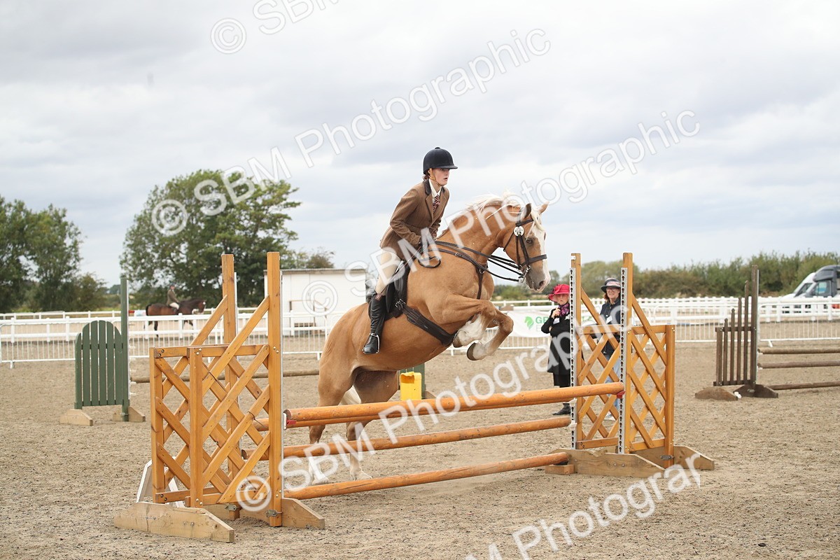 SBM_18305 - Class 509a - Working Veteran - 80cm (15-19)