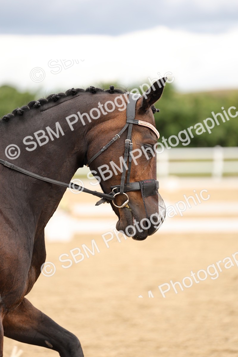 SBM_002595 - Class 6a - Novice 5 - 11.53-14.27