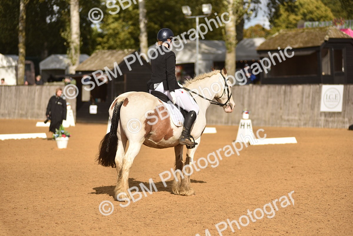 SBM_48876 - D22 - Junior Championship Intro 3