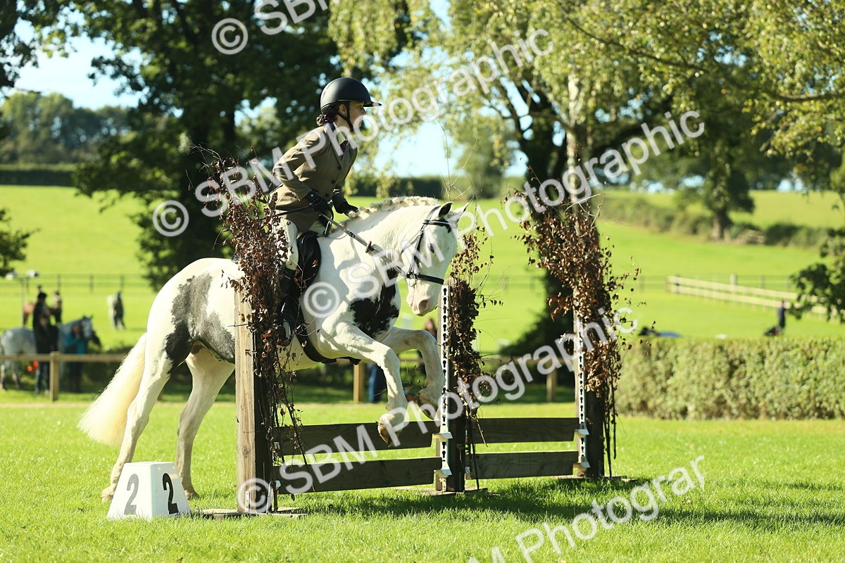 SBM_36436 - S29 - Novice & Newcomers Working Hunter Pony