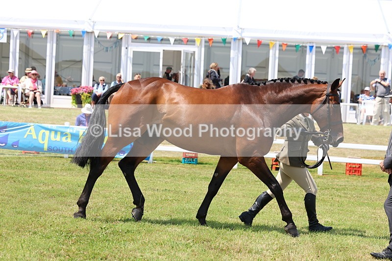 3E7A1710 - Class 9: Open Hunter