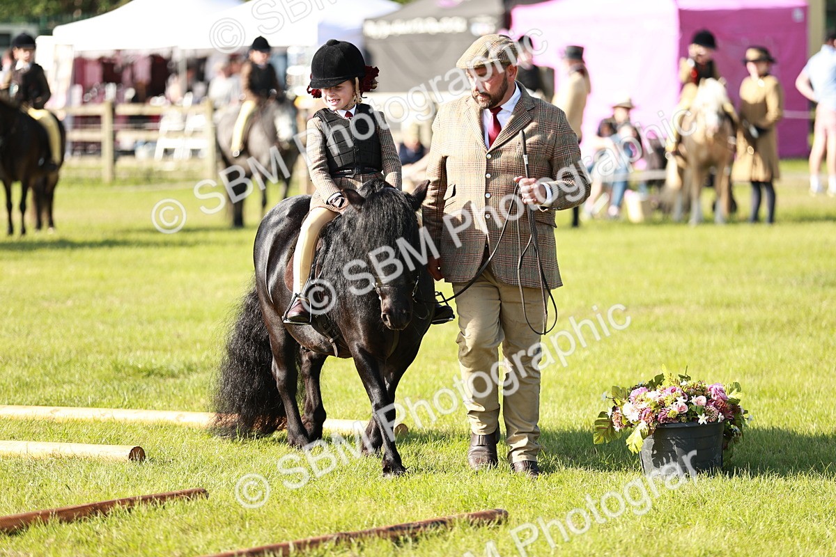 SBM_11168 - Class 106-107 - BSPS LIHS Working Sports Pony