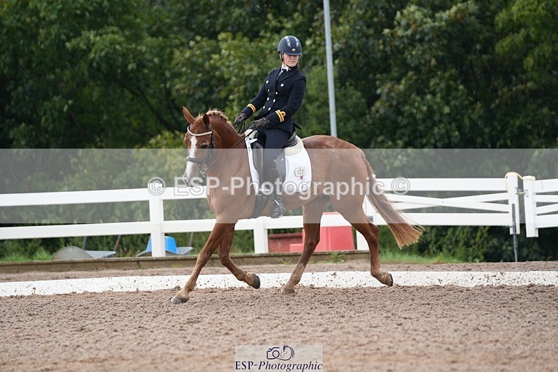 250907-153640-09586 - 122-India.JohnGrayswood.Orlando