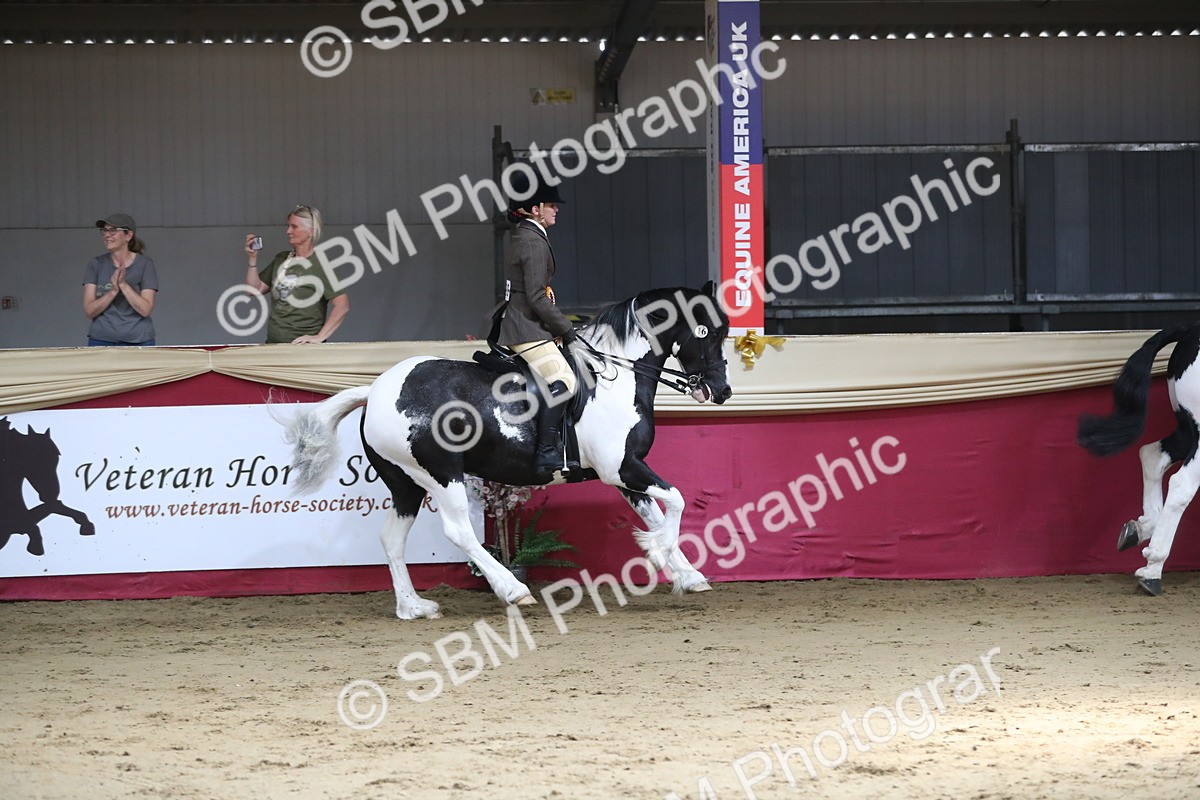 SBM_03001 - Class 6a Area Ridden Pre Vet