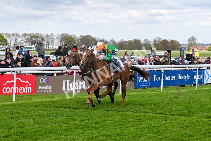 160425-Race 4-Wilhelmina-3091 - Race 4