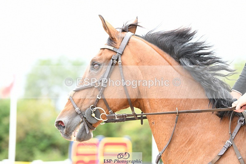 250803-132702-13573 - Cls 35 1.05 National Amateur Championship Qualifier