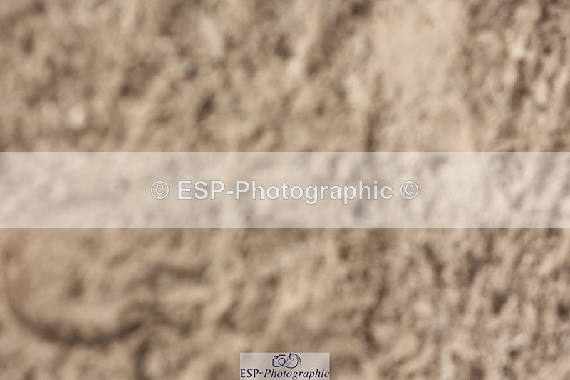 240804-111843-11598 - 369-Melissa_Joannides-STELLA_NOVA