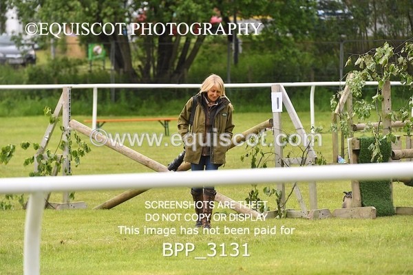 BPP_3131 - CLASS 2 SENIOR FOX/1.20M OPEN