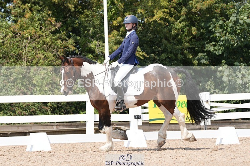 250817-122632-09356 - 050-Mollie.SheathTouch.Wood