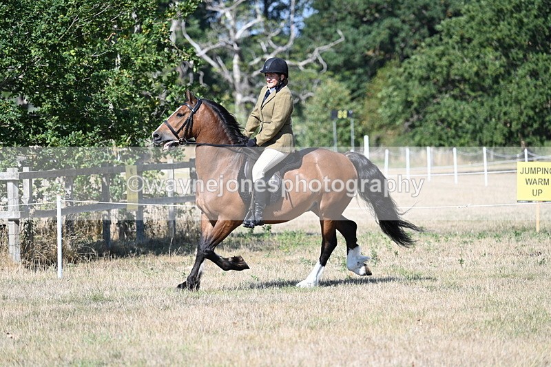 WJ7_3750 - Class 9 Mountain & Moorland Ridden