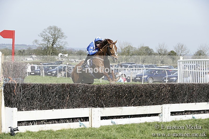 PtP 260317 126 - Mendip Farmers Point-to-Point Ston Easton 26/03/17