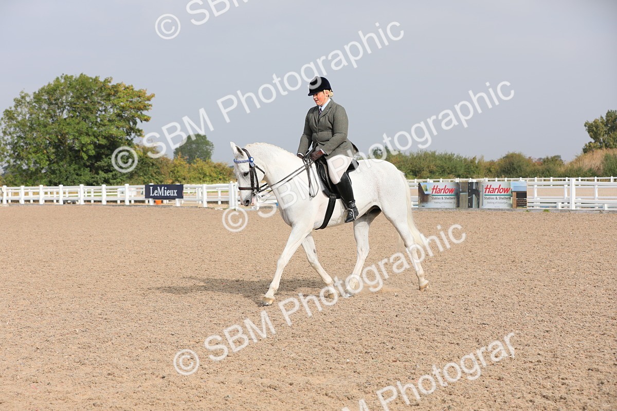 SBM_10890 - Class 304 Ridden Part Bred Horse/Pony