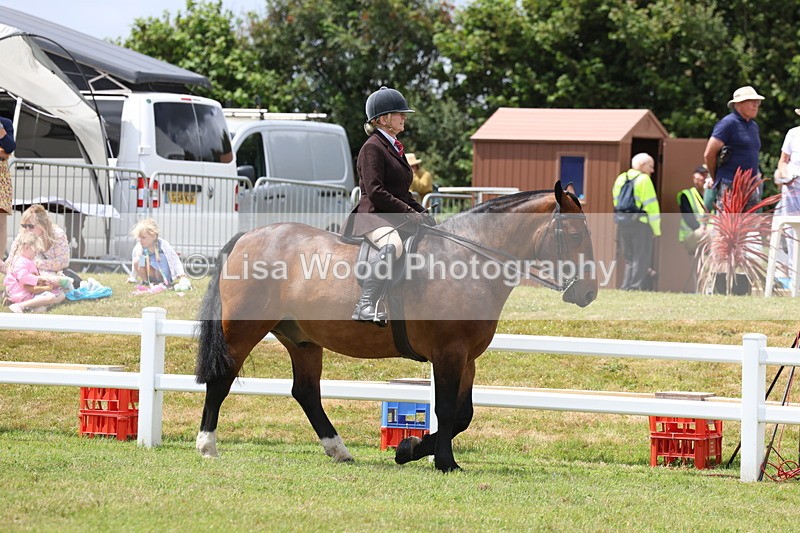 3E7A1822 - Class 10: Open Cob