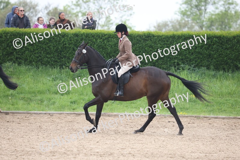 20260504-1131 - Class 14 - Cob and Hunter