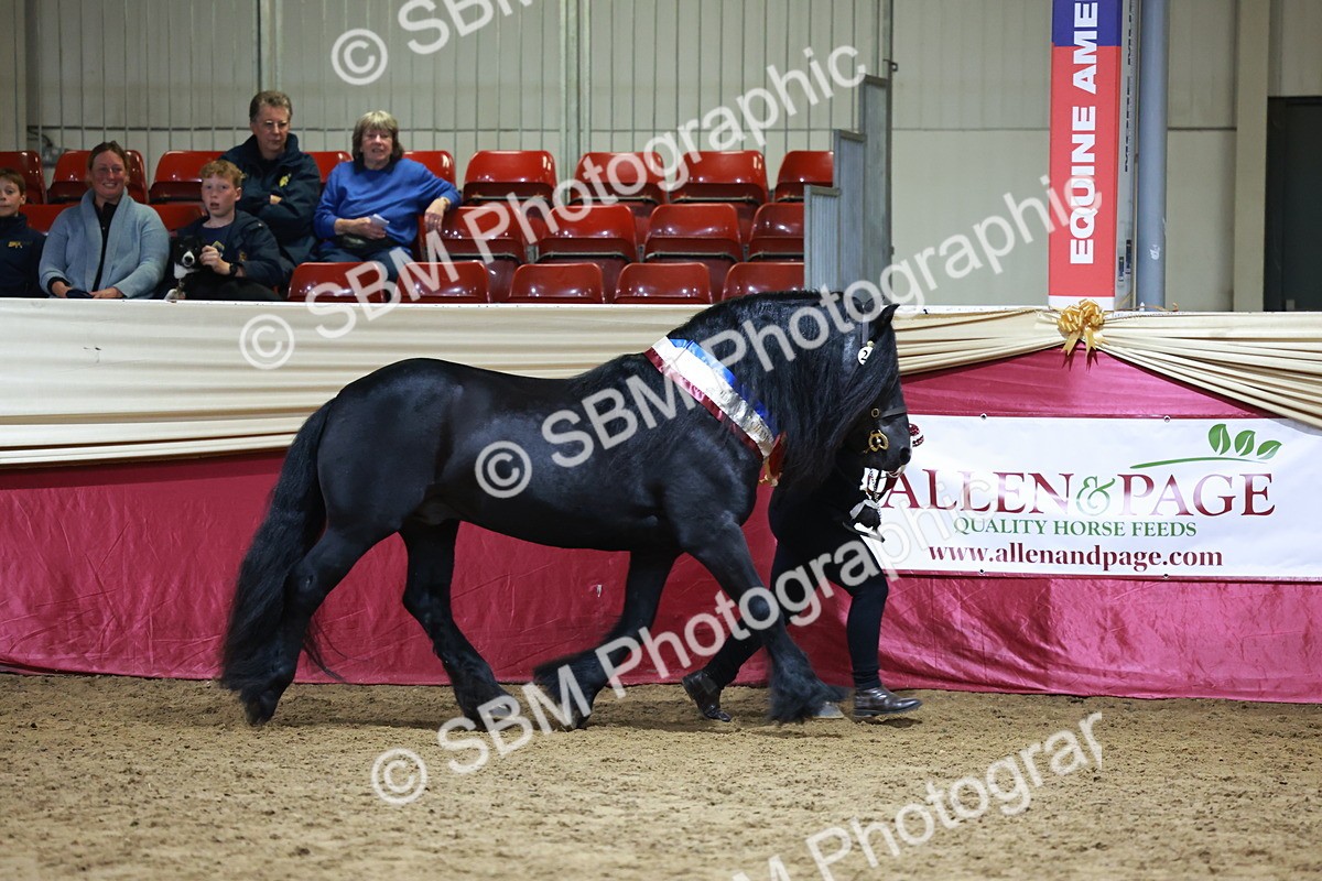 SBM_20432 - Class F - IH Small (148cm & Under)Champ