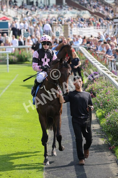 yr05092021r1-6 - Race 1 2.10pm IRE-Incentive It Pays To Buy Irish ebfstallions.com Novice Stakes