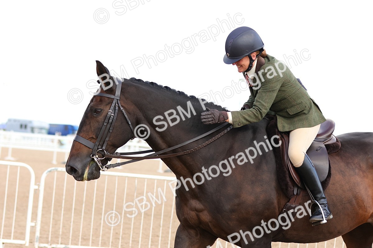 SBM_13561 - Class 212 - Ridden Hunter  - Large