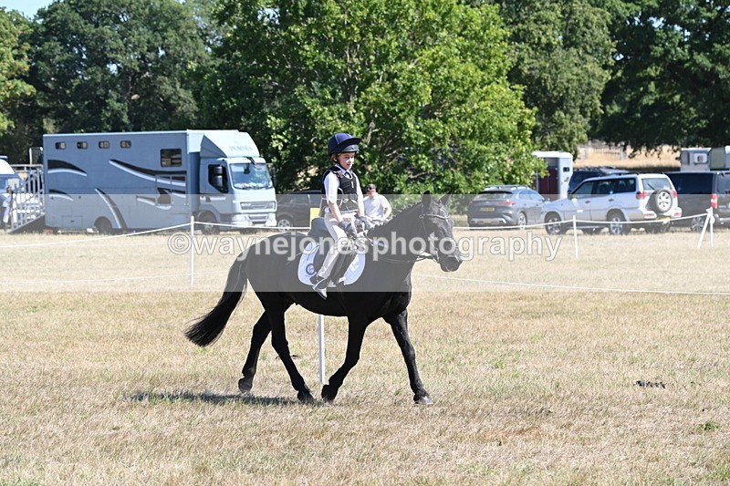 WJ6_8371 - Class 37a Best Loan Pony Ridden