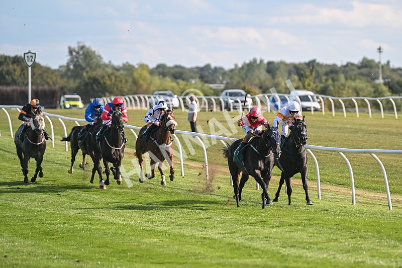 090925-Race 5-Dream Deal-9190 - Race 5