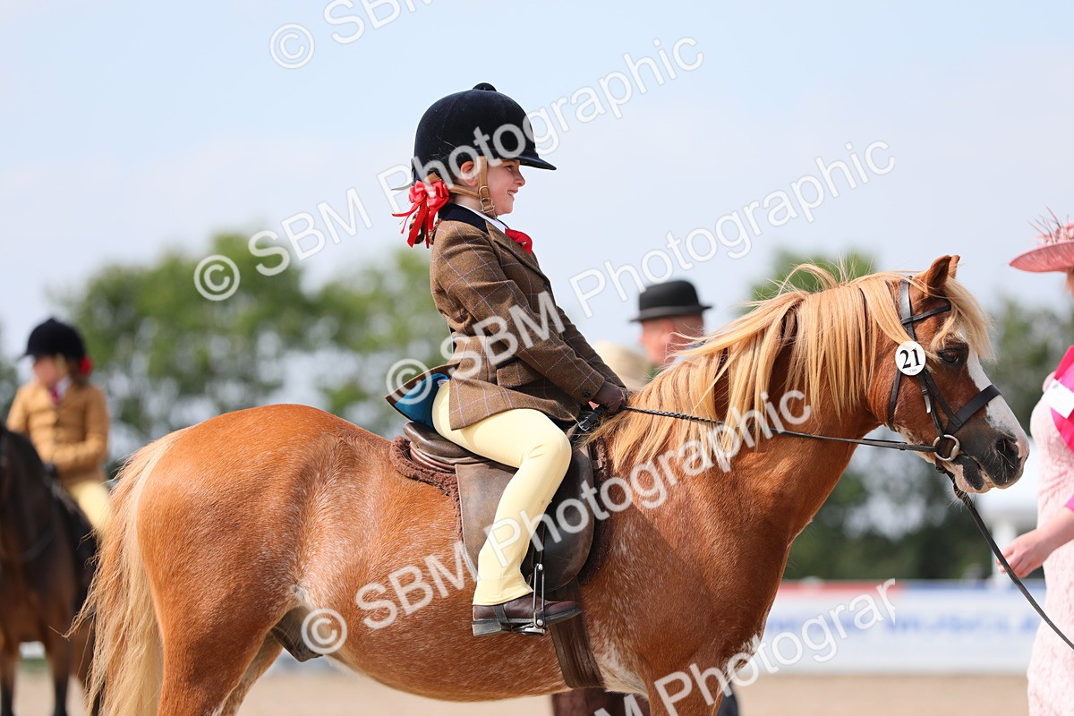 SBM_14066 - Class 309 Lead Rein Pony