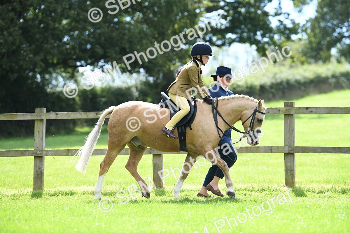 SBM_41196 - S19 - Lead Rein Show & Show Hunter Pony