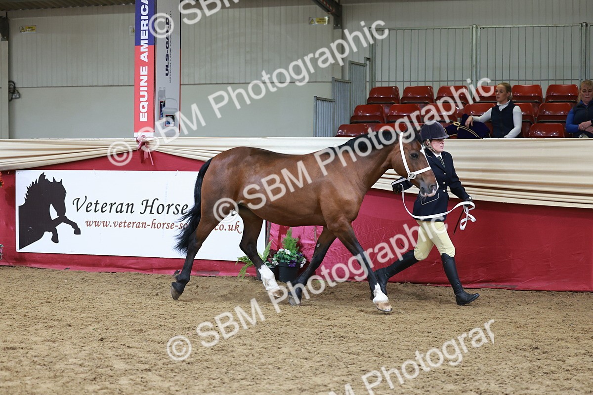 SBM_17437 - Class 951 - M&M IH Supreme Final