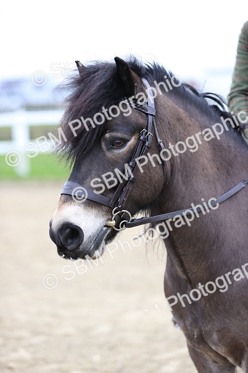 SBM_007473 - Class 31-32 - M&M Confined Novice Small-Large