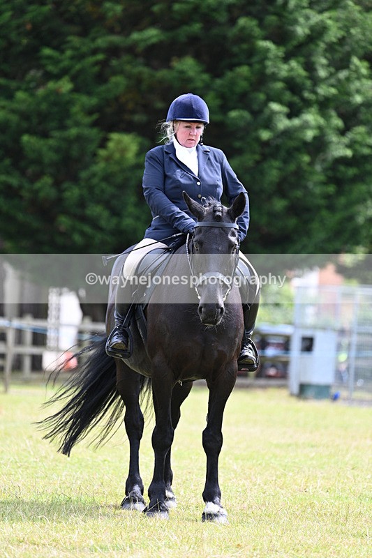 WJ7_9821 - Class 8 Ridden Veterans