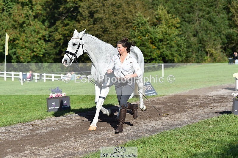 231022-110730-23739 - 437-DONBEG.GREY-Hannah.Underhill-TrotUp+SJ