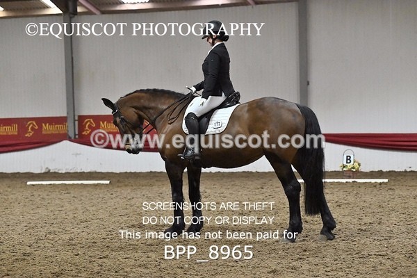 BPP_8965 - NOVICE 6