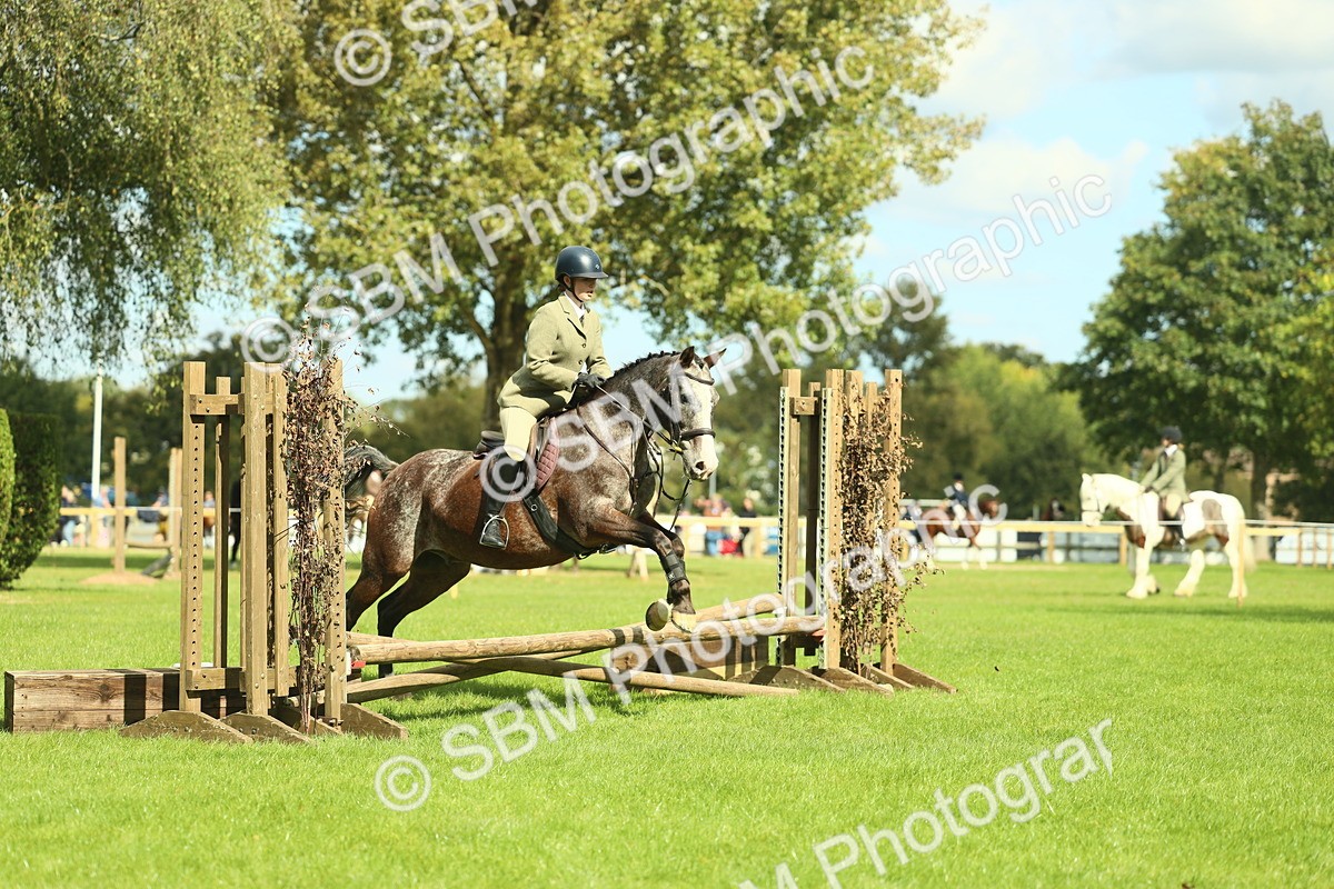 SBM_42128 - S29 - Novice & Newcomers Working Hunter Pony