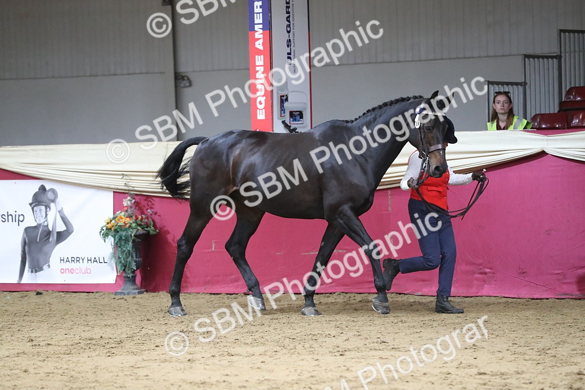 SBM_06345 - Class 9R Regional- IH Pre Vet