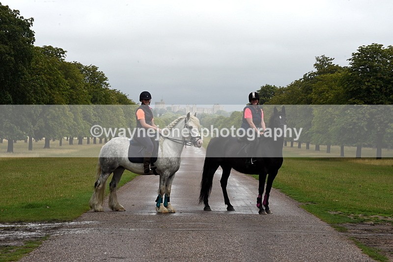 TT3_8288 - Time at Crossing 10:16 to 11:38